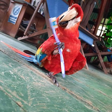 Cabanas Alto Del Aguila Puerto Nariño Zewnętrze zdjęcie