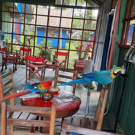 Cabanas Alto Del Aguila Puerto Nariño Zewnętrze zdjęcie
