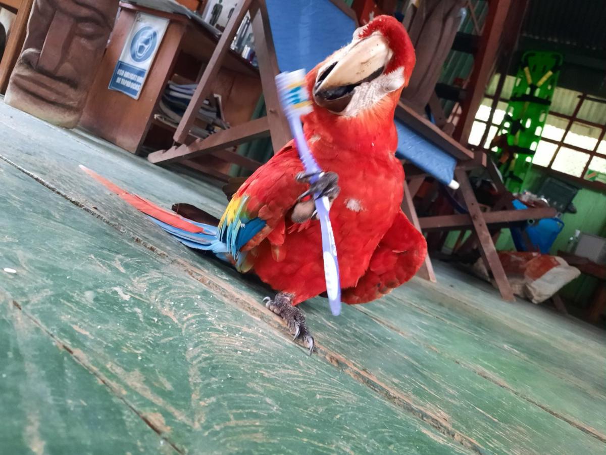 Cabanas Alto Del Aguila Puerto Nariño Zewnętrze zdjęcie