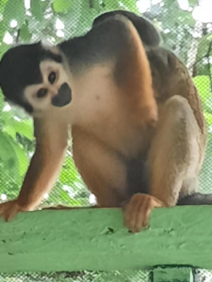 Cabanas Alto Del Aguila Puerto Nariño Zewnętrze zdjęcie