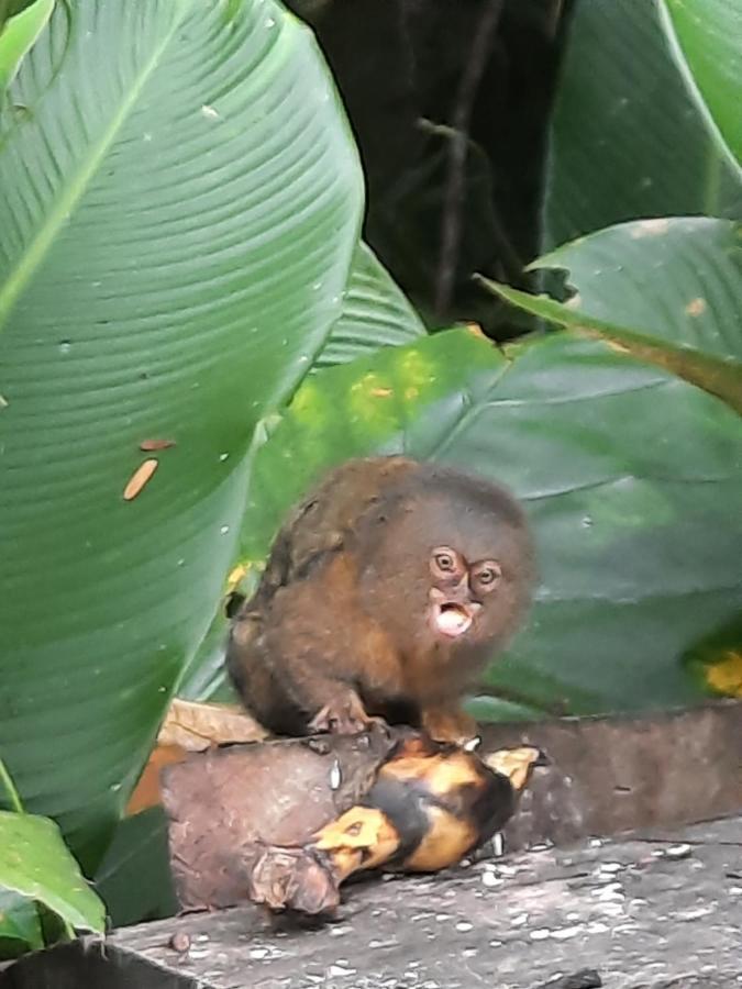 Cabanas Alto Del Aguila Puerto Nariño Zewnętrze zdjęcie