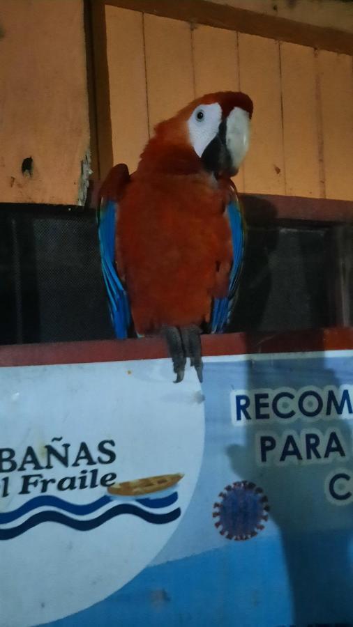 Cabanas Alto Del Aguila Puerto Nariño Zewnętrze zdjęcie