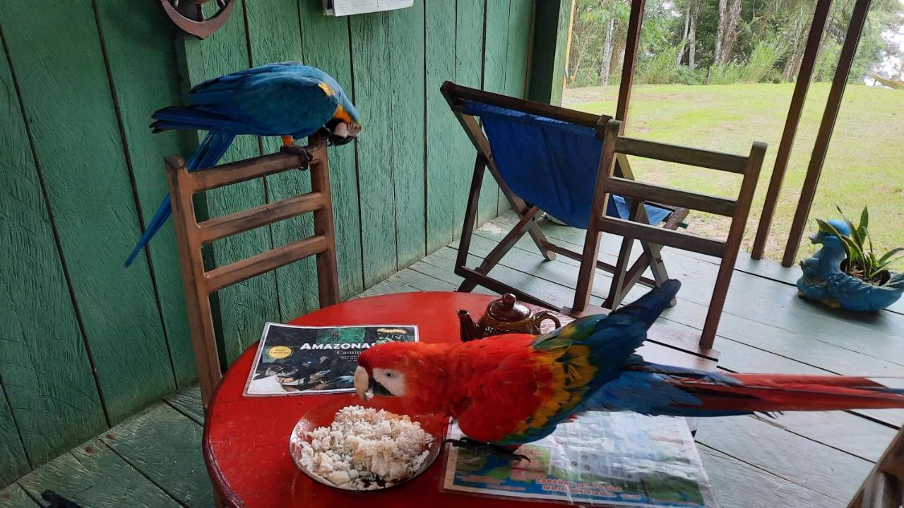 Cabanas Alto Del Aguila Puerto Nariño Zewnętrze zdjęcie