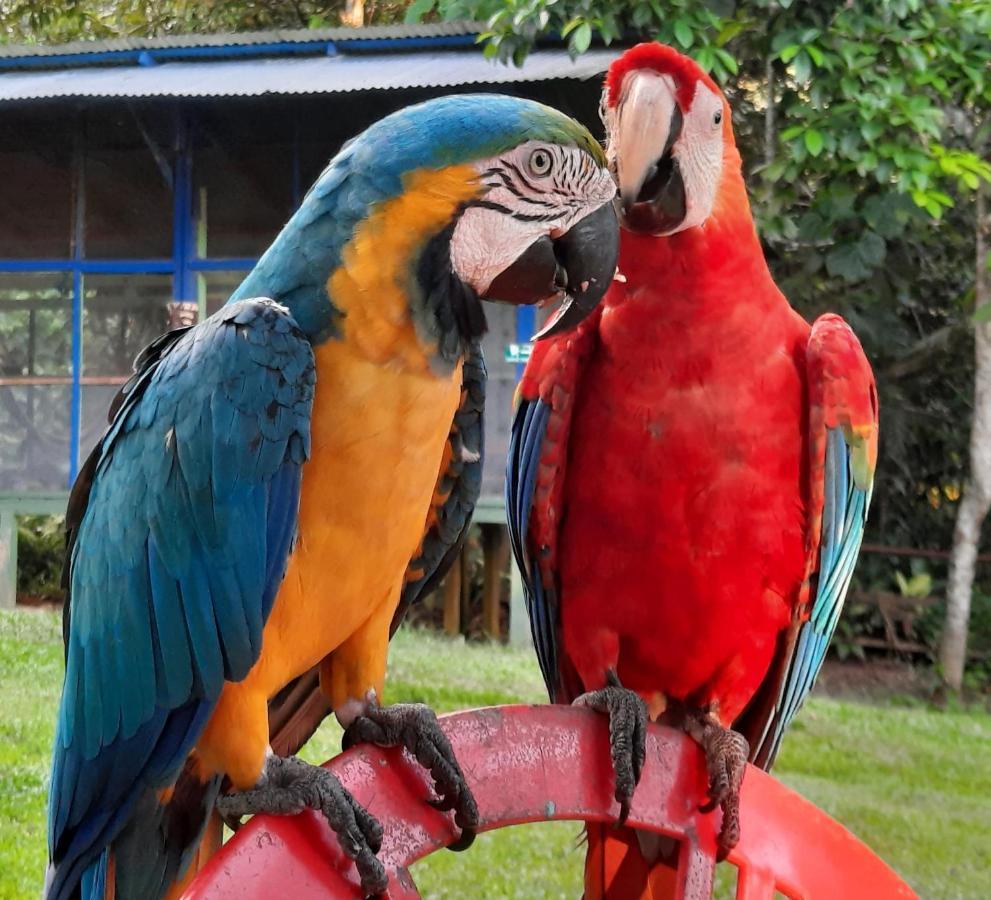 Cabanas Alto Del Aguila Puerto Nariño Zewnętrze zdjęcie