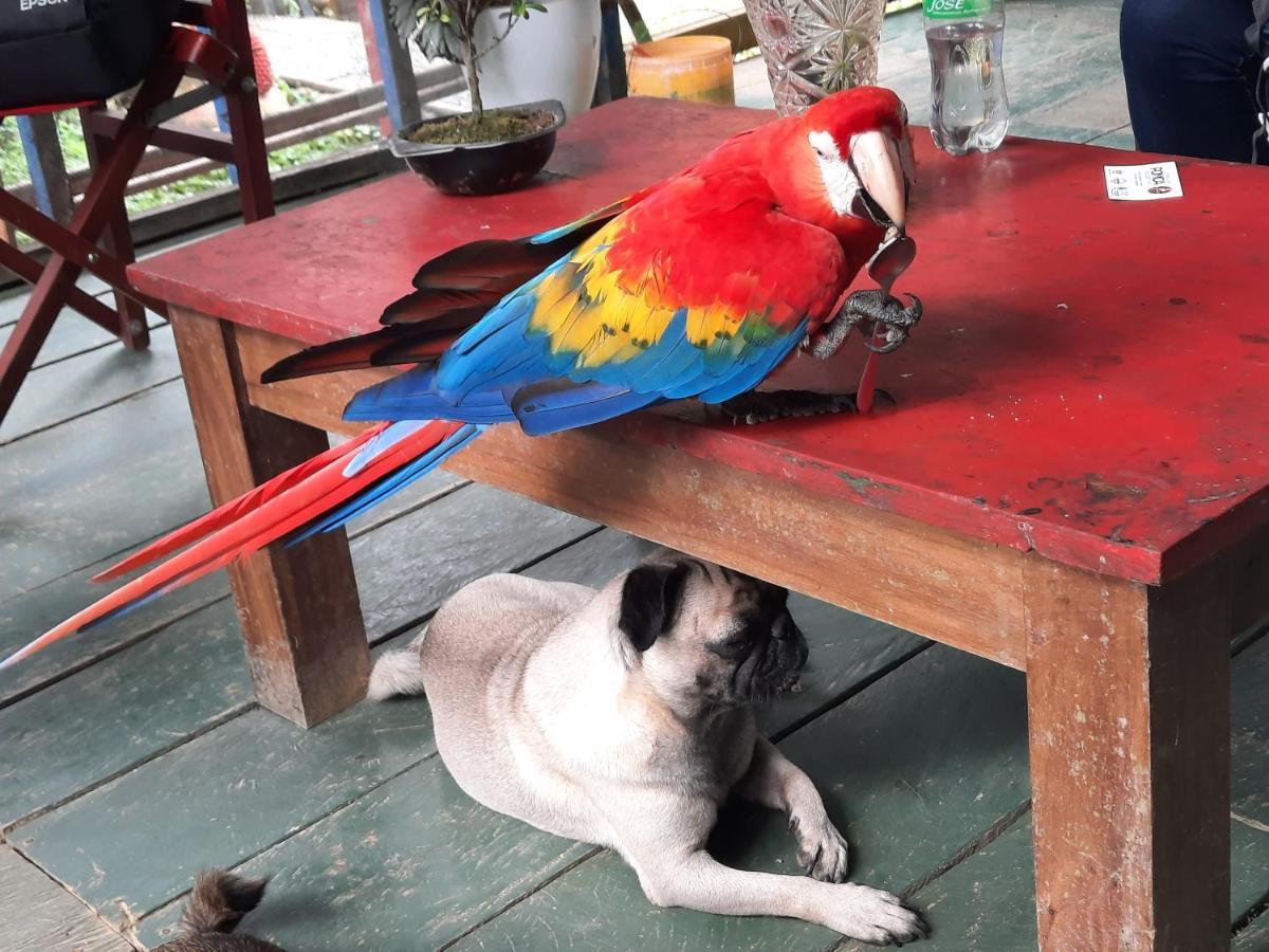 Cabanas Alto Del Aguila Puerto Nariño Zewnętrze zdjęcie